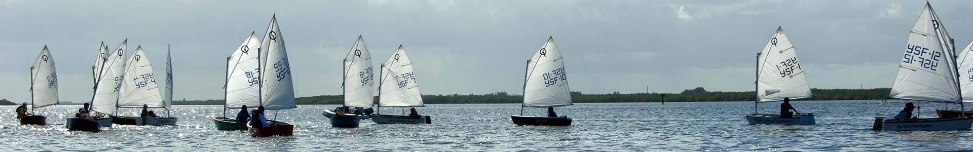 Many sailboats on the water